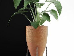 plants collection 50 Modelo 3D