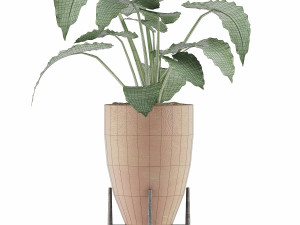 plants collection 50 Modelo 3D