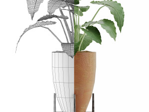 plants collection 50 Modelo 3D