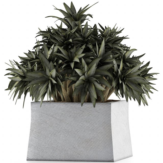 plants collection 51 Model 3D .c4d .max .obj .3ds .fbx .stl .blend 