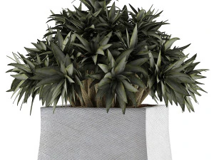 коллекция растений 51 3D Модель