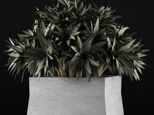 plants collection 51 Model 3D