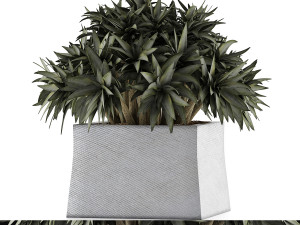 plants collection 51 Model 3D