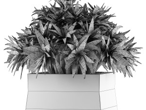 plants collection 51 Model 3D