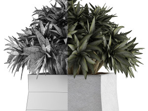plants collection 51 Model 3D