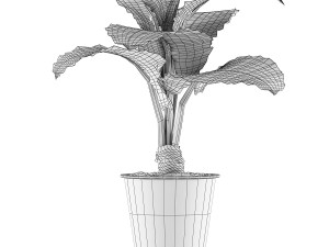 plants collection 52 Modelo 3D