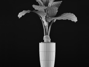 plants collection 53 Modello 3D