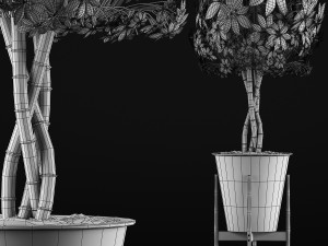 plants collection 54 Modello 3D