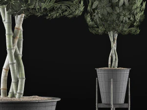 plants collection 54 3D Model