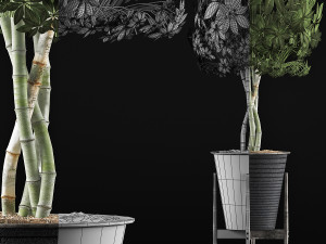 plants collection 54 Modello 3D