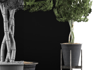 plants collection 54 Modello 3D