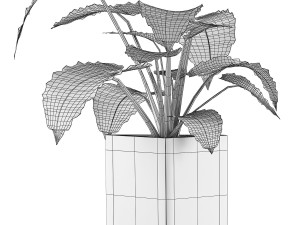 plants collection 55 Model 3D