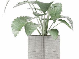 plants collection 55 Model 3D