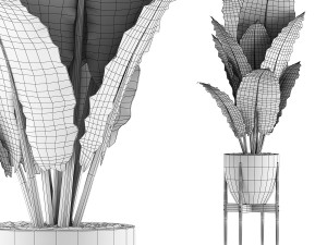 plants collection 56 Model 3D