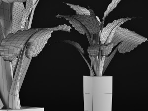 plants collection 57 Modèle 3D