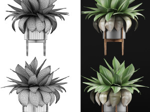 plants collection 58 Modèle 3D
