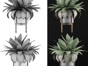 plants collection 58 Modèle 3D