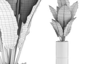 plants collection 59 3D Model