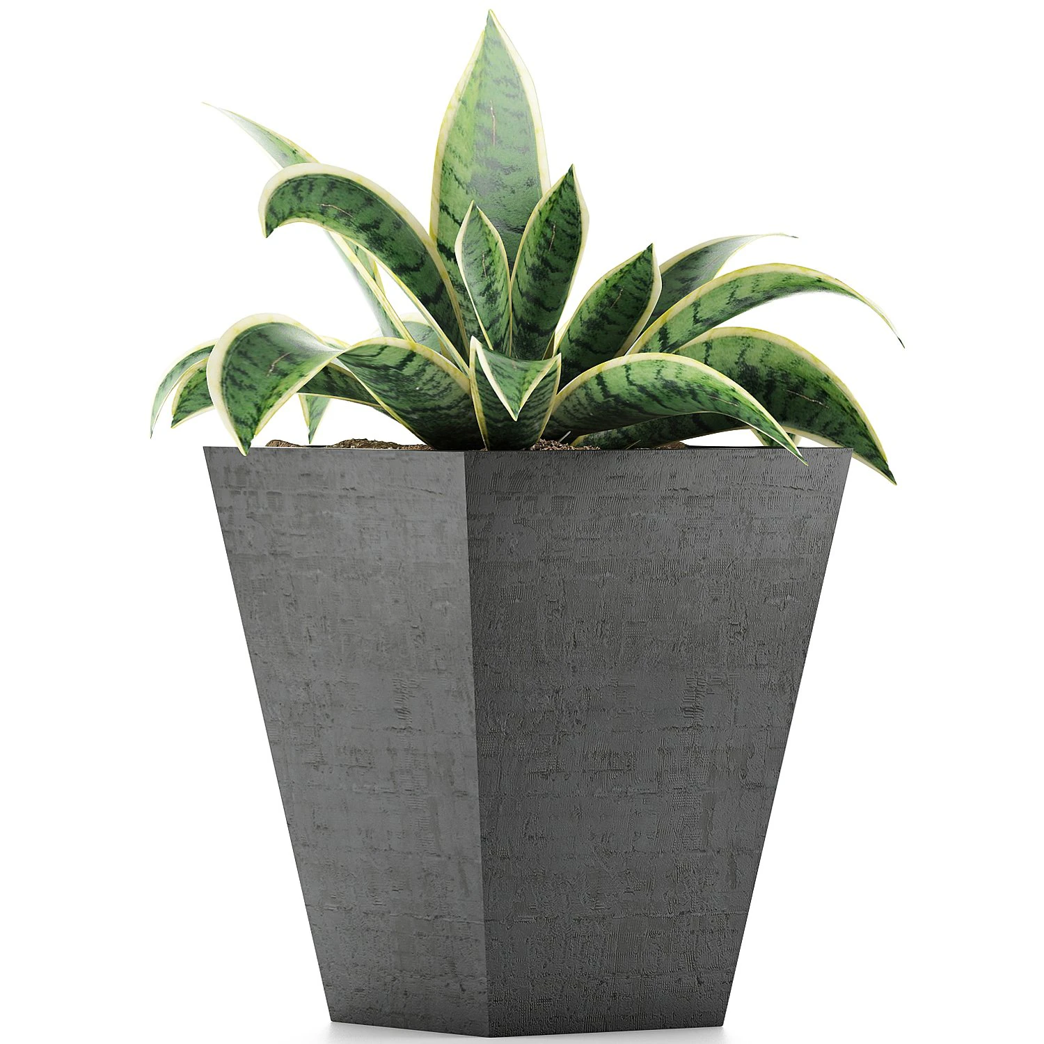 plants collection 60 3D Model .c4d .max .obj .3ds .fbx .stl .blend 