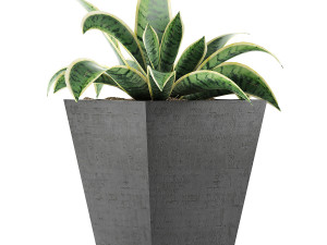 plants collection 60 Modèle 3D