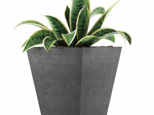 plants collection 60 3D Model