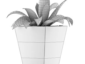 plants collection 60 3D Model