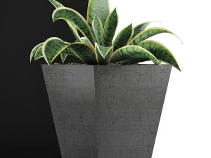 plants collection 60 3D Model