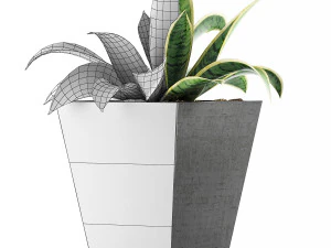 plants collection 60 3D Model