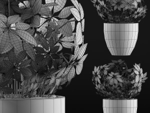 plants collection 61 3D-Modell