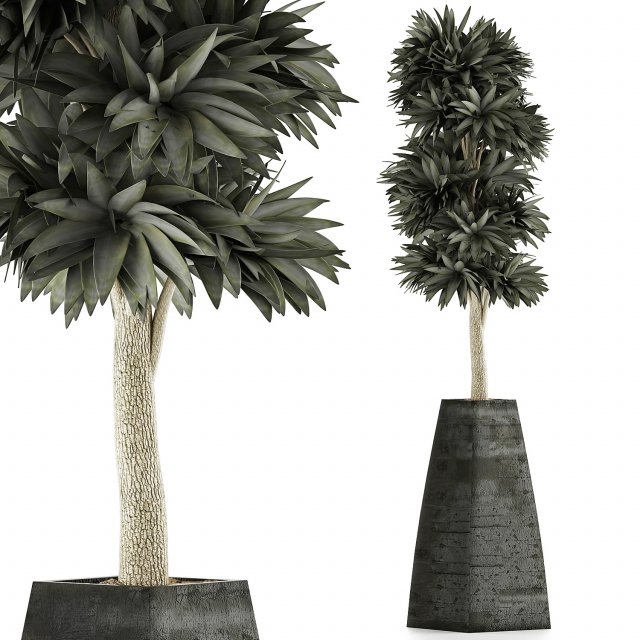 plants collection 62 3D Model .c4d .max .obj .3ds .fbx .stl .blend 
