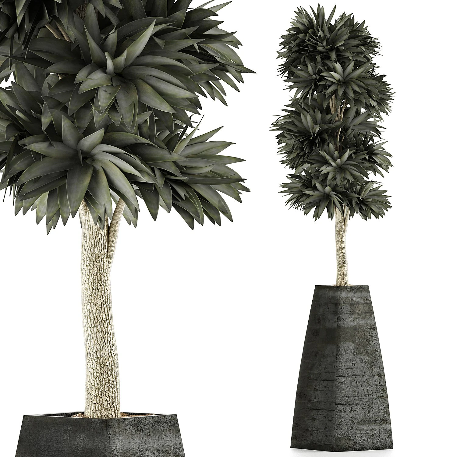 plants collection 62 3D Model .c4d .max .obj .3ds .fbx .stl .blend