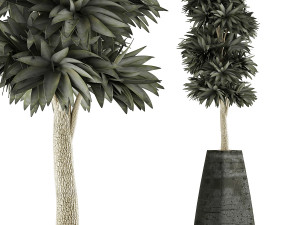 plants collection 62 3D Model