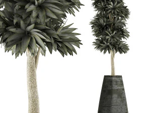 raccolta piante 62 Modello 3D