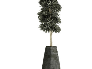 plants collection 62 3D Model