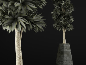 plants collection 62 3D Model