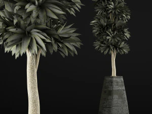 plants collection 62 3D Model