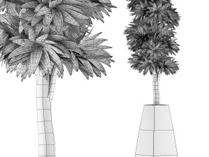 plants collection 62 3D Model