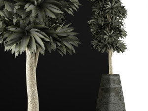 plants collection 62 3D Model