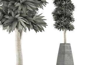 plants collection 62 3D Model