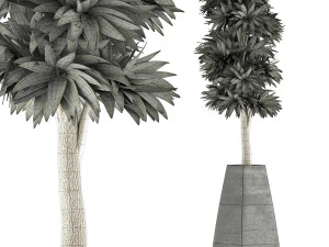 plants collection 62 3D Model