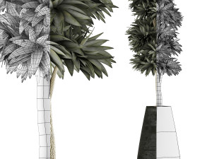 plants collection 62 3D Model