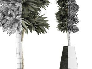 plants collection 62 3D Model