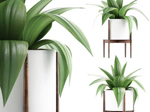 raccolta piante 63 Modello 3D