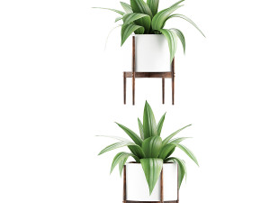 plants collection 63 3D Model
