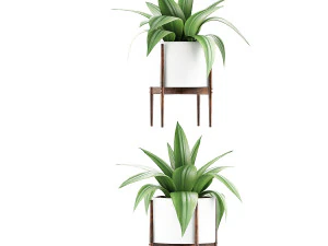 plants collection 63 3D Model