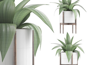 plants collection 63 3D Model