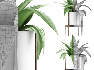 plants collection 63 3D Model