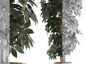 식물 수집 64 3D 모델