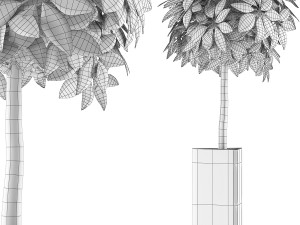 plants collection 65 Model 3D