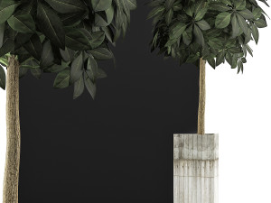 plants collection 65 Model 3D